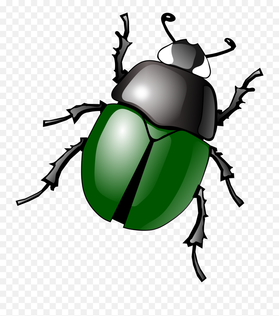Cute Cricket Insect Clipart Kid - Clip Art Beetle Emoji,Crickets Emoji