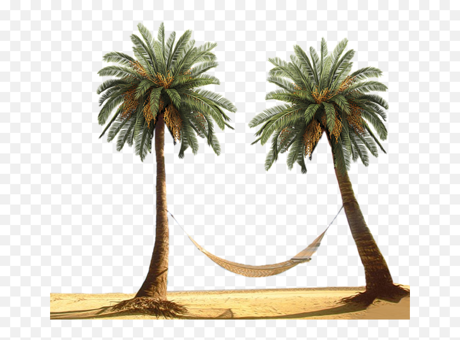 Palm Tress Hammock Psd Official Psds - Palm Tree Beach Png Emoji,Hammock Emoji