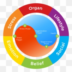 FREE WEBINAR Can you find the unresolved emotions affecting - Lifestyle Prescriptions Emoji