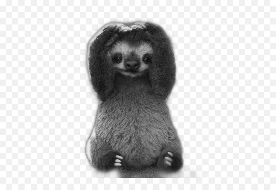 The Newest Sloths Stickers - Baby Sloth Cute Sloths Emoji,Coffee Poodle Emoji