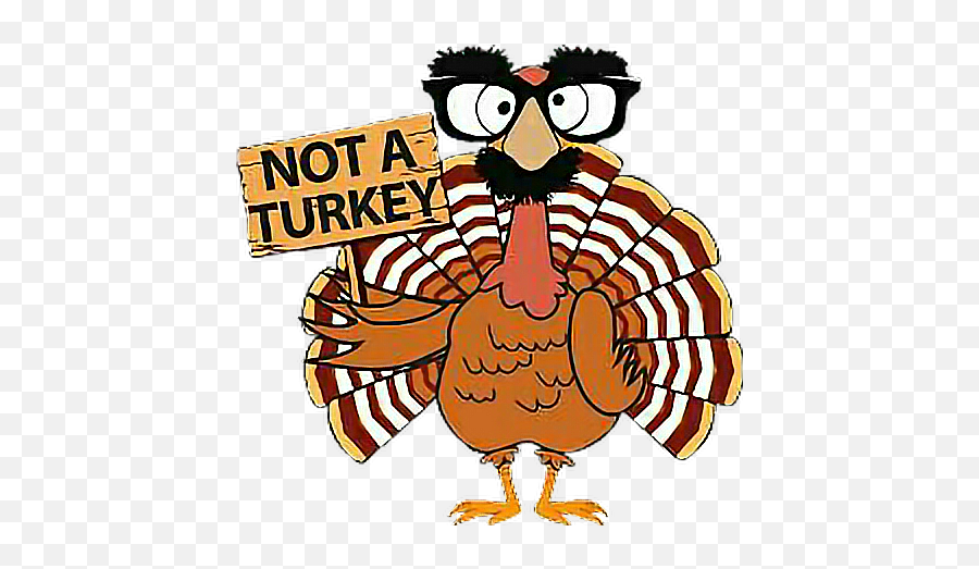 Turkey Glassesthanksgiving Thankful Greatfulblessed - Turkey Happy Thanksgiving Funny Emoji,Thankful Emoji
