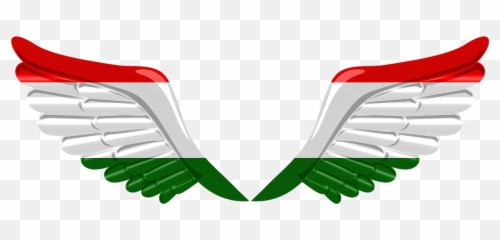 Flag Wings Tajikistan Iran 3d - Iran Flag Png Emoji,Iran Flag Emoji
