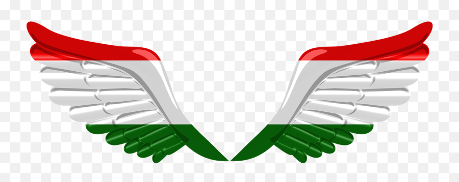 Flag Wings Tajikistan Iran 3d - Iran Flag Png Emoji,Iran Flag Emoji
