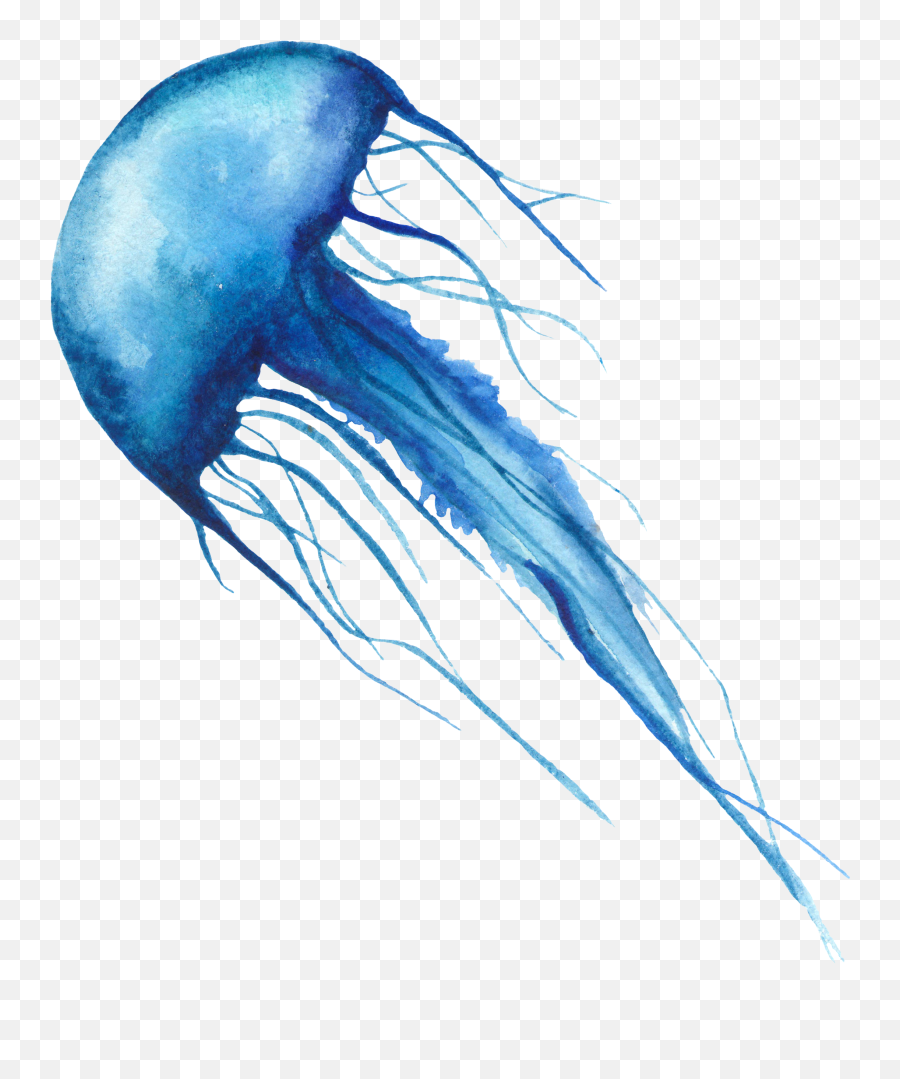 Jellyfish - Jellyfish Emoji,Jellyfish Emoji