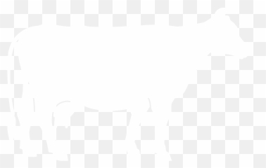 Cow - Izindaba Zokubhebhana Inkomo Blog Emoji