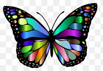 Clipart Butterflies - Butterfly Images Of Insects Emoji,Butterfly Emoji Android