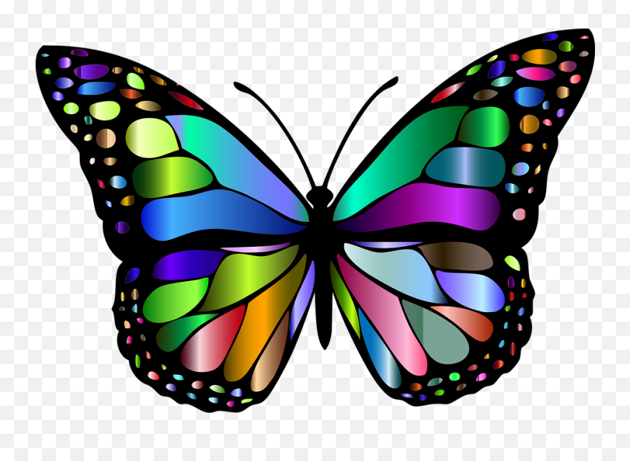 Clipart Butterflies - Butterfly Images Of Insects Emoji,Butterfly Emoji Android