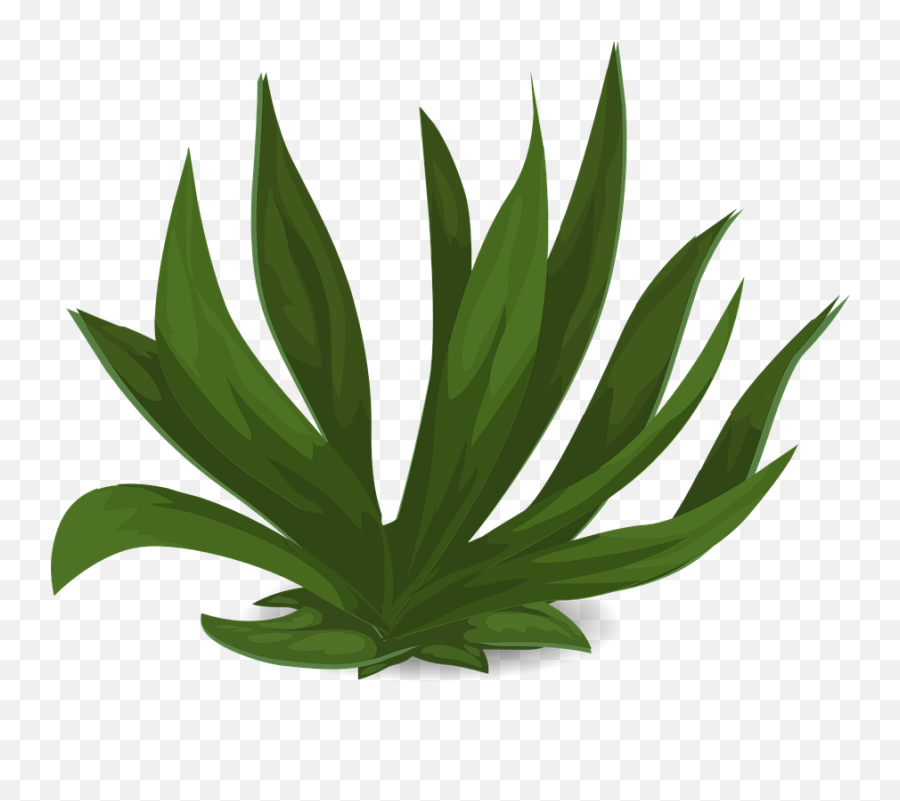 Free Long Girl Vectors - Green Plant Transparent Emoji,Rat Emoticon