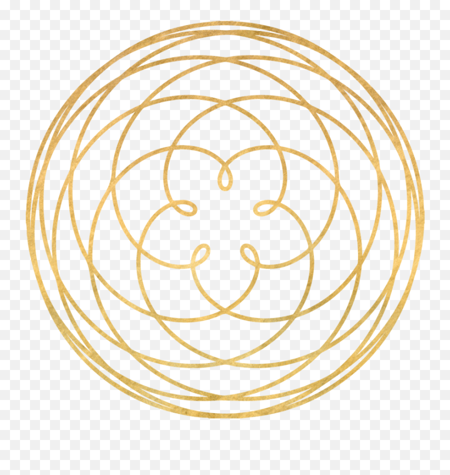 Curriculm Priestesses Of The Rose - Rose Fibonacci Flower Drawing Emoji,Ankh Emoticon