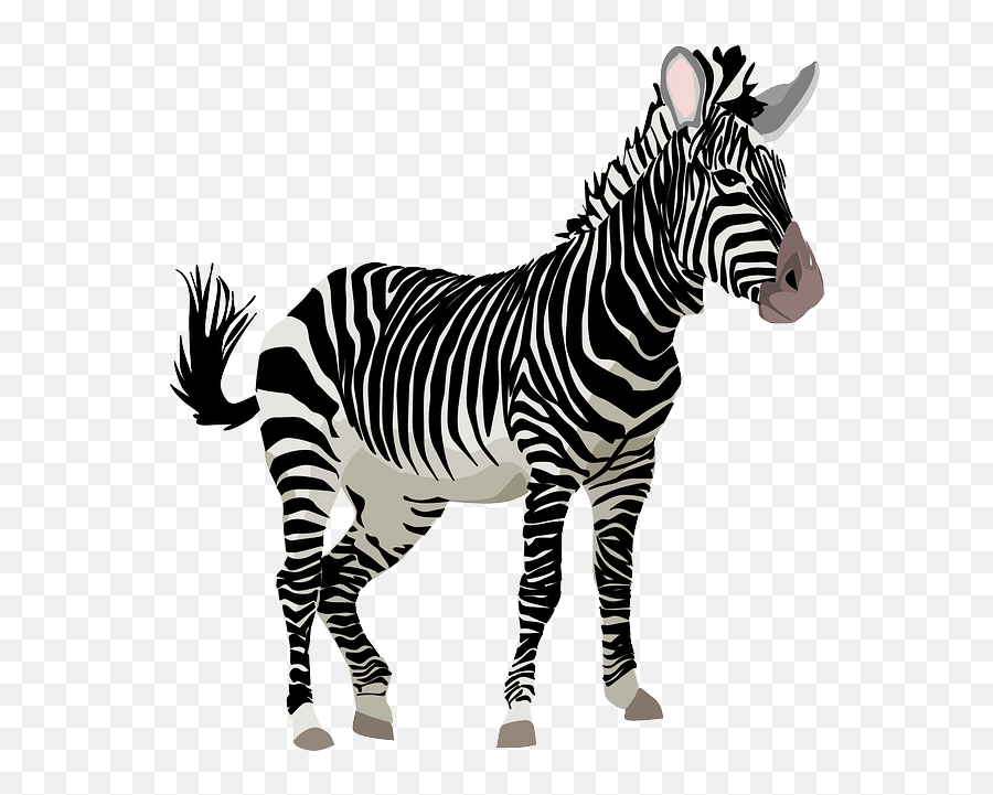 Positive Thoughts And Prayers - Zebra Clipart Emoji,Zebra Emoticon