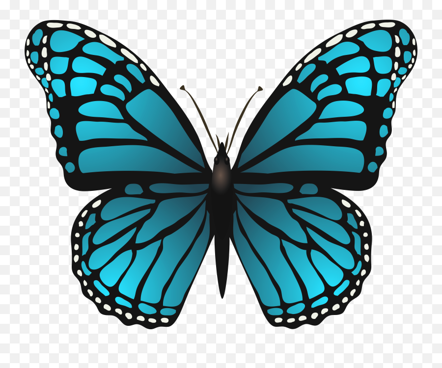 Blue Butterfly Images Clipart - Transparent Background Blue Butterfly Clipart Emoji,Blue Butterfly Emoji
