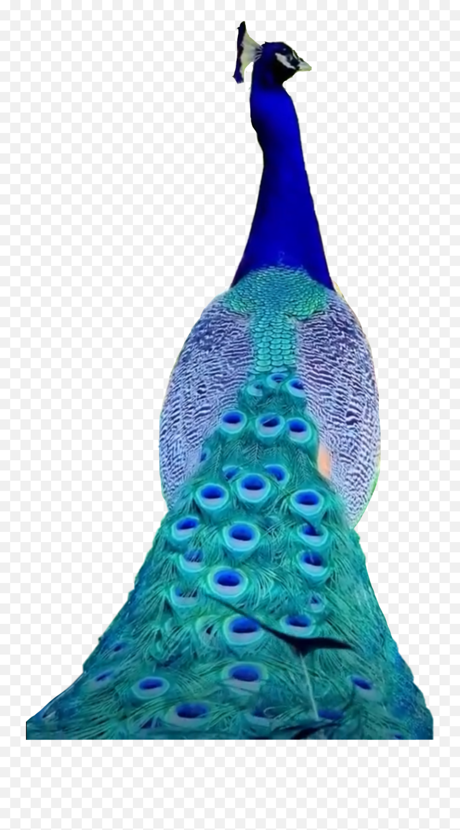 Peacock Birds Bird Sticker - Peafowl Emoji,Peacock Emoji