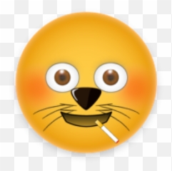 Brentan Alex miller AlexBrentan Twitter - Happy Emoji