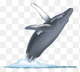Whale Watching Png u0026 Free Watchingpng Transparent - Breaching Background Emoji