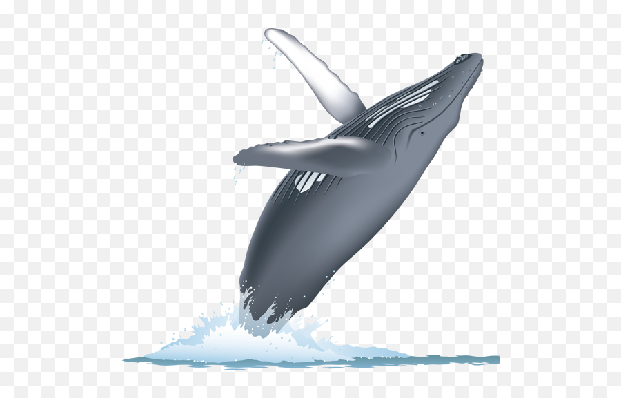 Whale Watching Png U0026 Free Whale Watchingpng Transparent - Whale Breaching Transparent Background Emoji,Emoji Free Whale