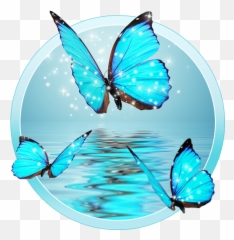3d Live Lock Screen Wallpaper - Tecno In5 Back Cover Emoji,Butterfly Emoji Android