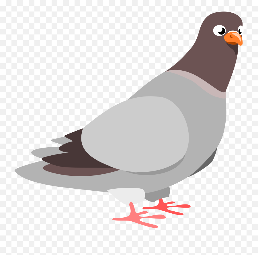 Pigeon Clip Art Free - Pigeon Clipart Emoji,Pigeon Emoji