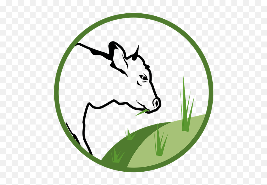 Cow Cattle Milk Pasture - Vaca No Pasto Desenho Emoji,Instagram Bio Emojis