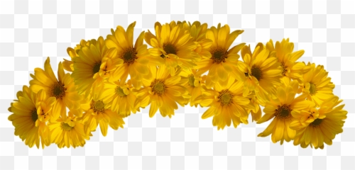 Yellow Flower Crown Clipart - Png Emoji