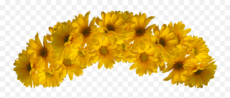 Yellow Flower Crown Clipart - Yellow Flower Crown Png Emoji,Yellow Flower Emoji