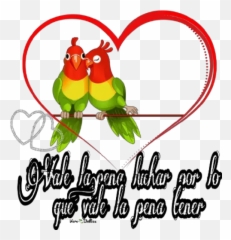Aniversario Stickers For WhatsApp - Love Birds Background Png Emoji