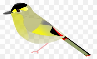 Bugunliocichla - American Goldfinch Emoji