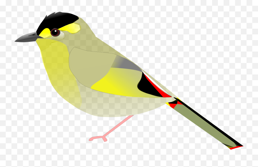 Bugunliocichla - American Goldfinch Emoji,Gag Emoji