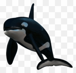 Largest Collection of Free - toEdit killer whale Stickers Killer Whale Emoji