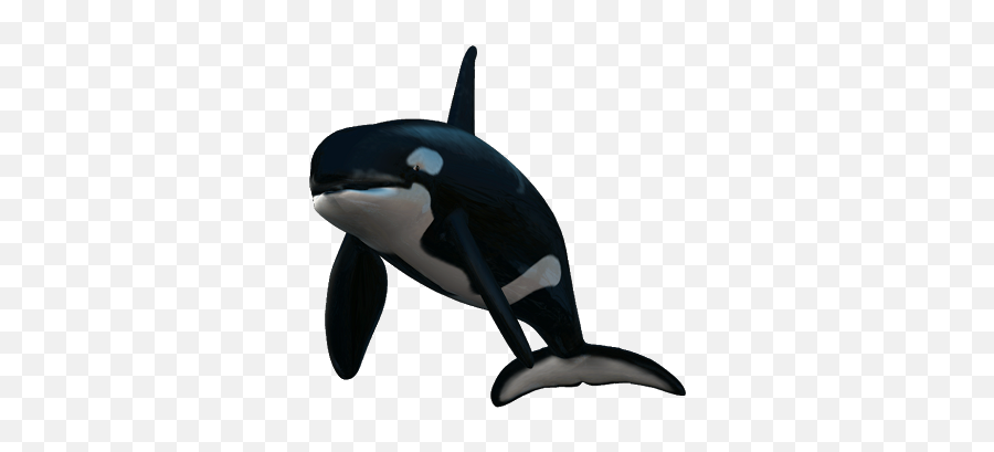 Largest Collection Of Free - Toedit Killer Whale Stickers Killer Whale Emoji,Emoji Free Whale