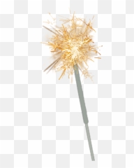 Largest Collection Of Free - Cactus Emoji,Sparke Emoji