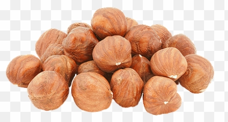 Owlbot Dictionary Api - Orzechy Laskowe Emoji,Hazelnut Emoji