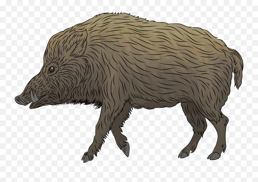 Wild Boar Clipart - Wild Boar Emoji,Boar Emoji