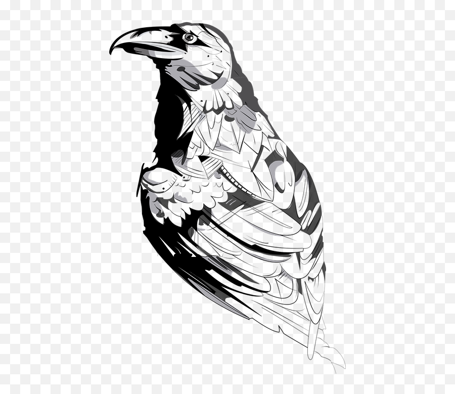 Crow American Animal - Cool Drawings Png Emoji,Raven Bird Emoji