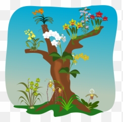Orchid Clipart Cartoon Orchid Cartoon Transparent Free For - Orchids Plants Clipart Emoji,Orchid Emoji
