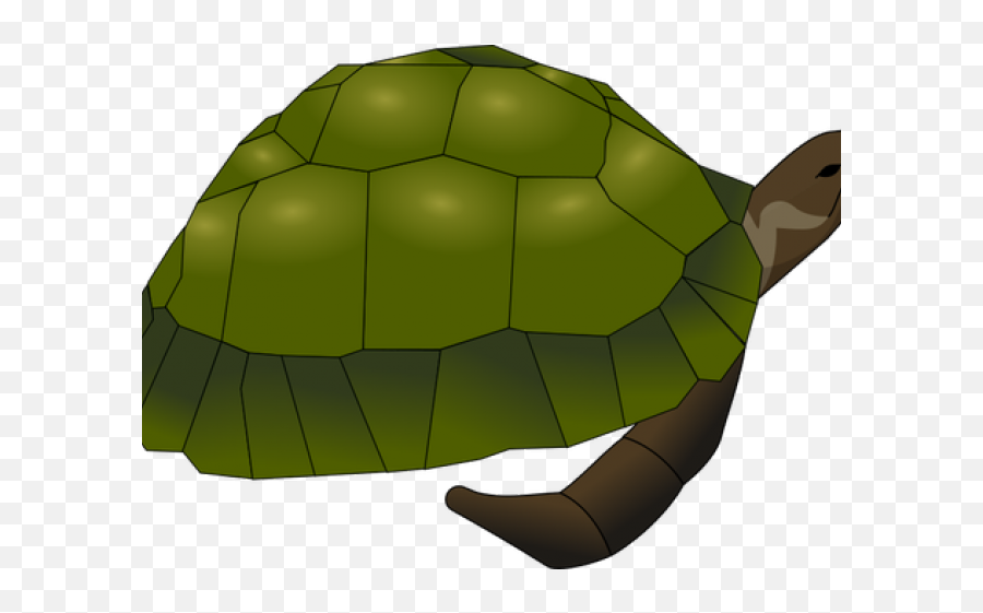 Tortoise Clipart Brown Turtle Emoji,Tortoise Emoji