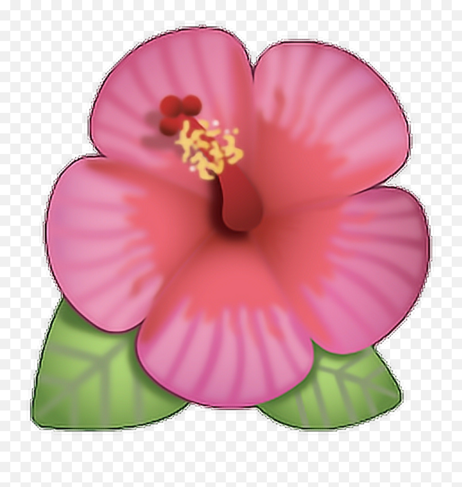 Flor Emoji Rosa Ed Cute Png Flower Cool - Flower Emojis,Transparent Flower Emoji