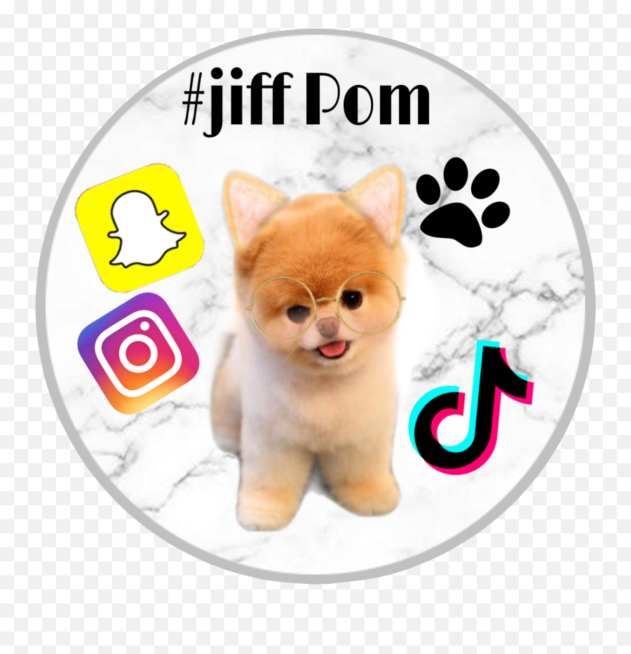 Picsart Jiffpom - Sticker By Shahifya Pomeranian Emoji,Jiffpom Emoji