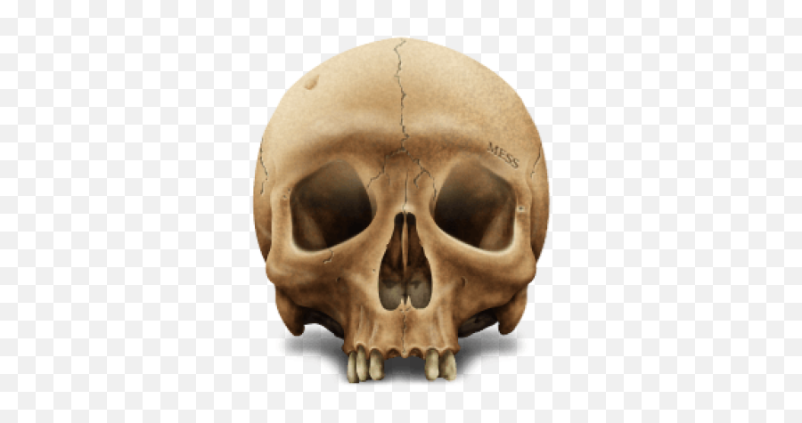 Skull Png And Vectors For Free Download - Dlpngcom Vintage Object Png Emoji,Sugar Skull Emoji