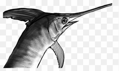 Swordfish Drawing Sketch Fish - Emoji