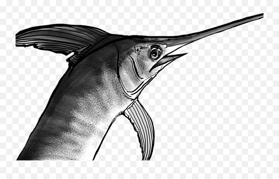 Swordfish Drawing Sketch Fish - Swordfish Emoji,Swordfish Emoji