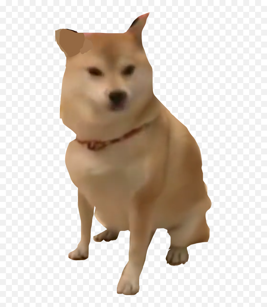 Shibe Shibenation Doggo Meme Dog - Companion Dog Emoji,Doggo Emoji