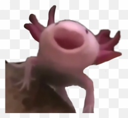 Largest Collection Of Free - Axolotl Emoji,Yawn Emoji