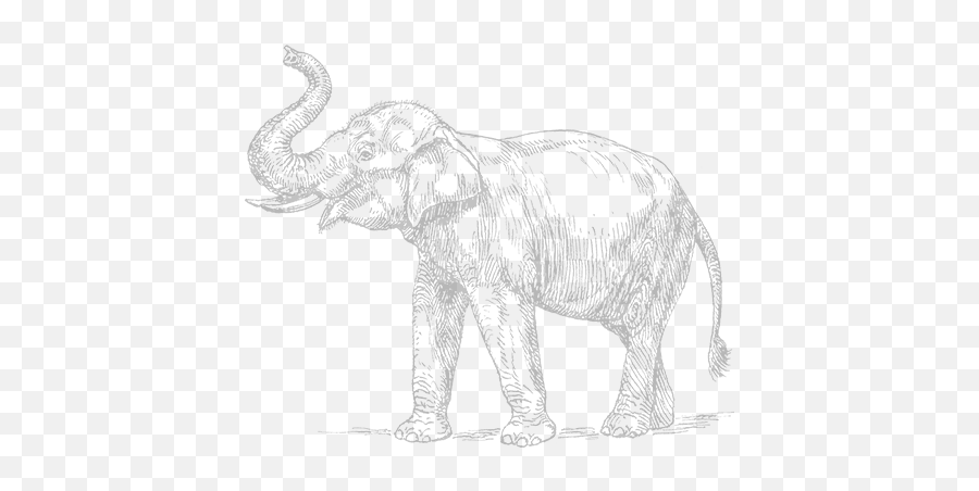 Laravel 54 Specified Key Was Too Long Error - Laravel News Elephant Side On Drawing Emoji,Elephant Emojis