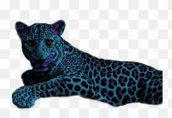 Edit - Jaguar Wallpaper 4 K Emoji,Jaguar Emoji