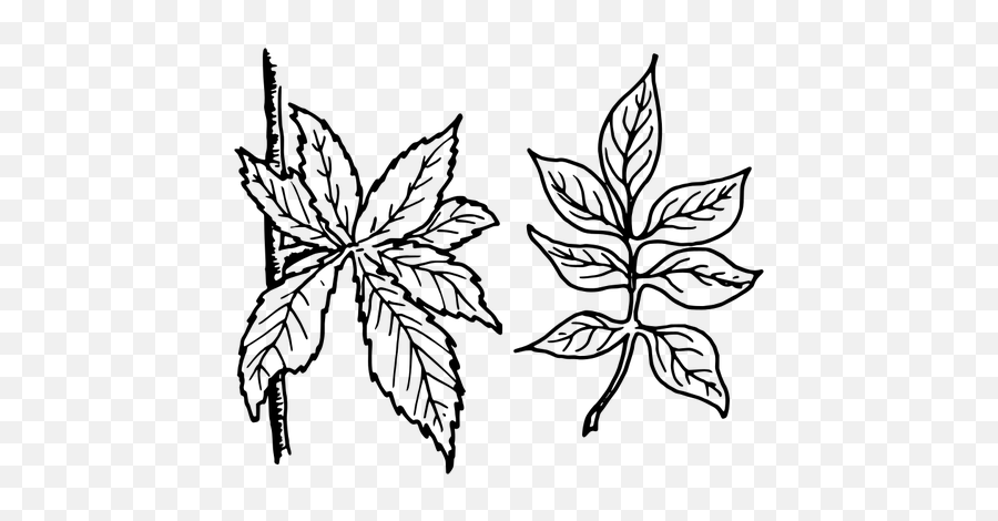 Multi Leaf Plant Vector Graphics Emoji,Pot Leaf Emoji