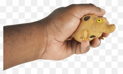 Squeeze 3in Crocodile With Color Beads - Animal Figure Emoji,Chicken Hatching Emoji