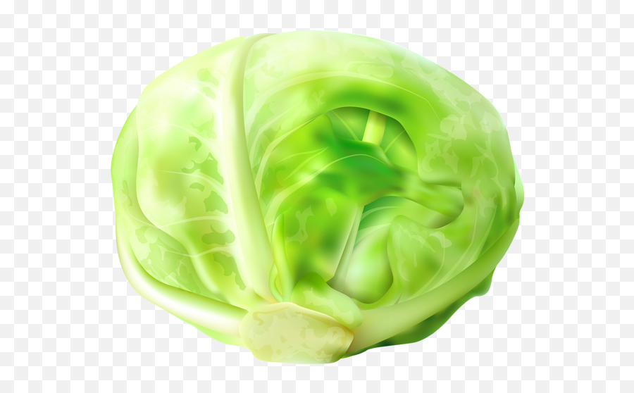 Cabbage Clipart Cabbage Transparent - Cabbage Clipart Emoji,Cabbage Emoji
