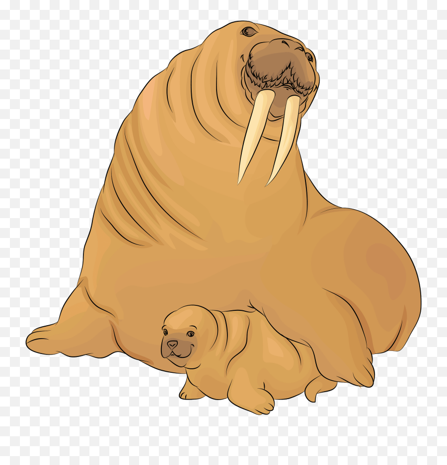 Walrus With A Cub Clipart - Walrus Clipart Emoji,Walrus Emoji