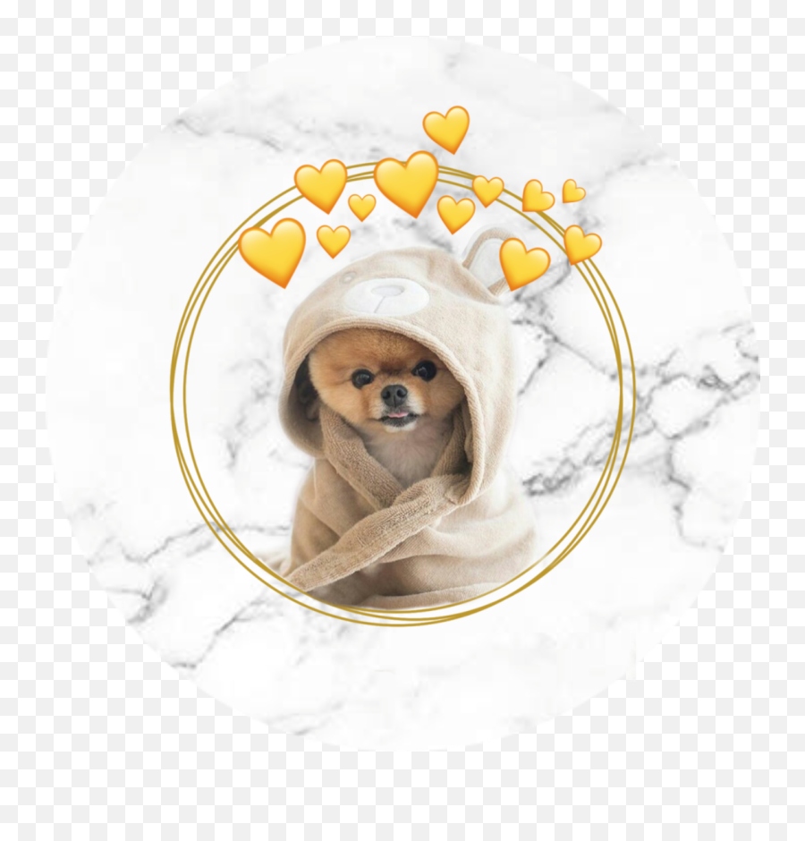 The Newest Jiffpom Stickers On Picsart - Companion Dog Emoji,Jiffpom Emoji