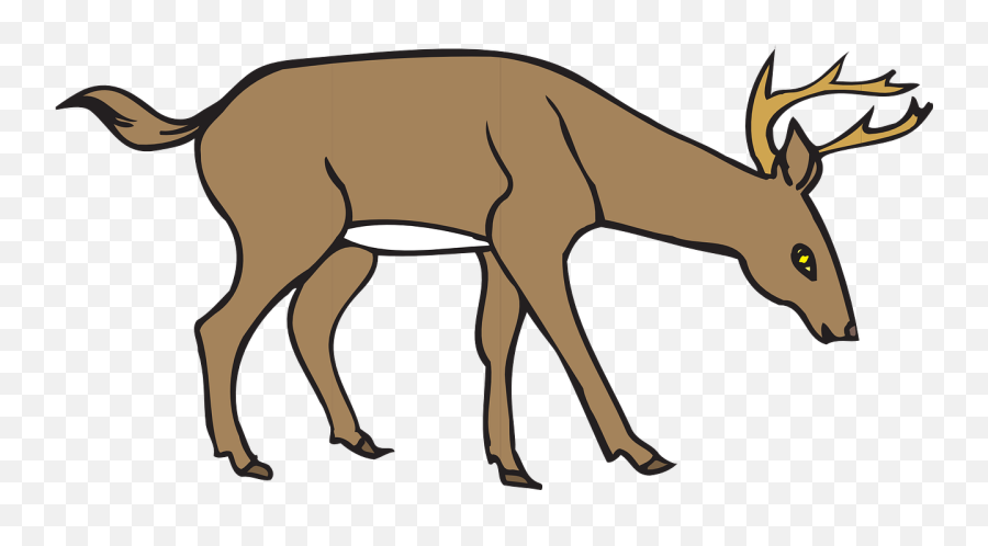 Deer Leaning Down Wild Forest - Deer Eating Grass Clipart Emoji,Deer Hunting Emoji